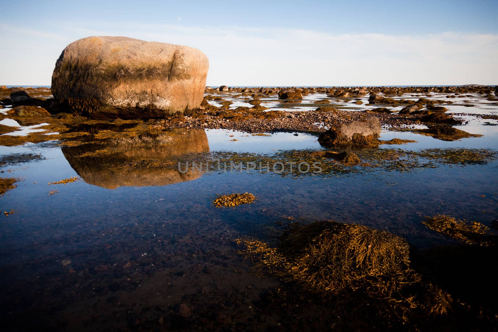 Stones in water - low tide