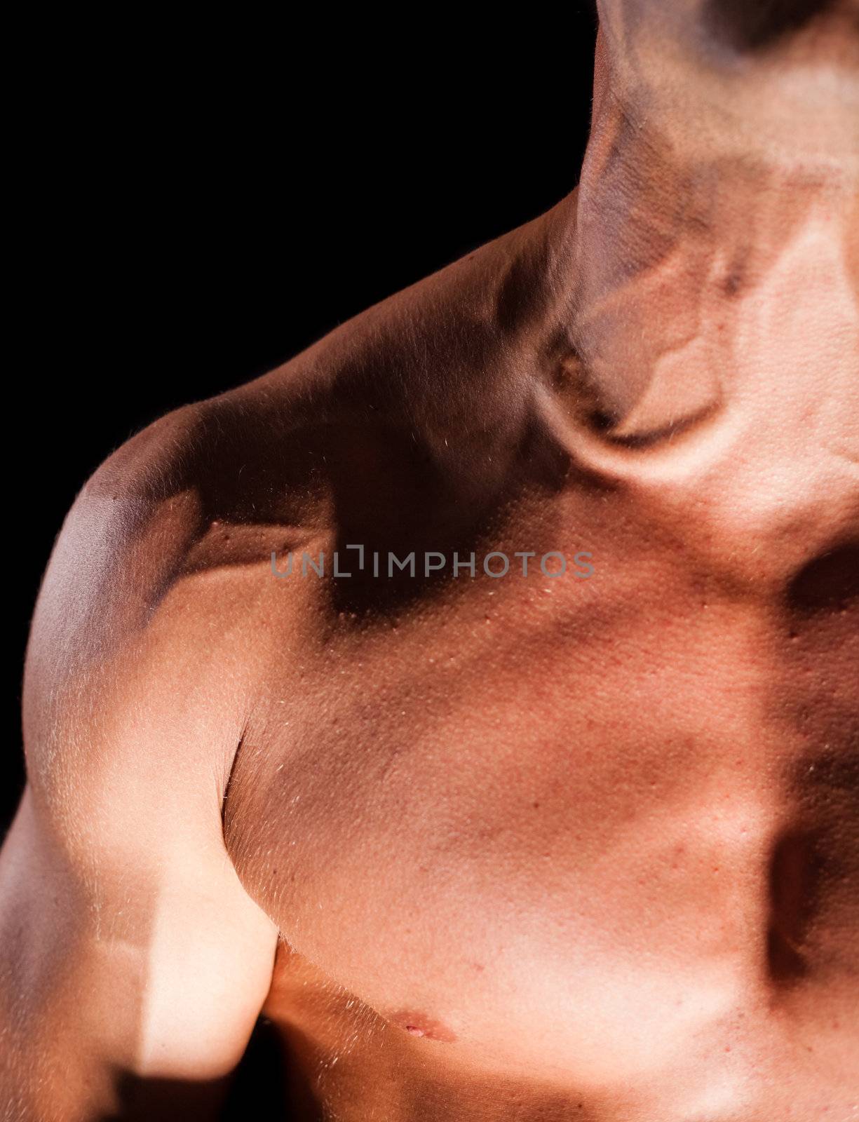 Muscular man isolated on black background