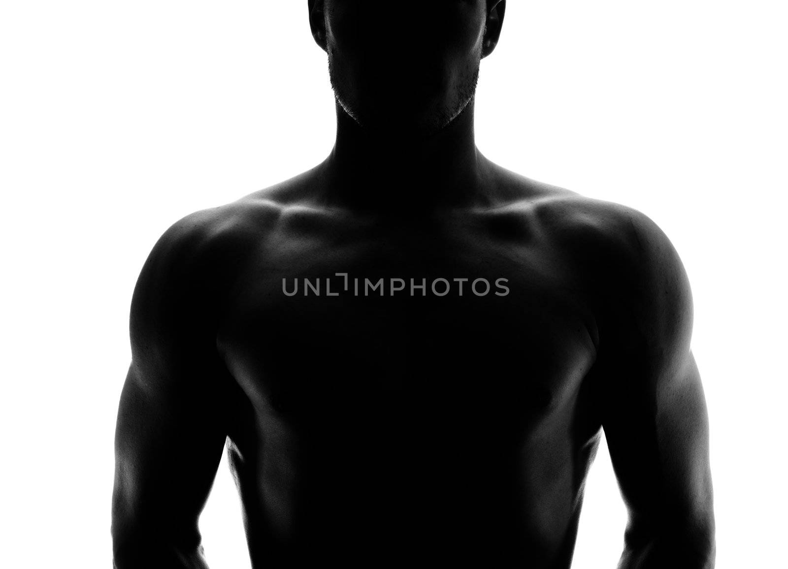 Muscular silhouette of a young man - upper body