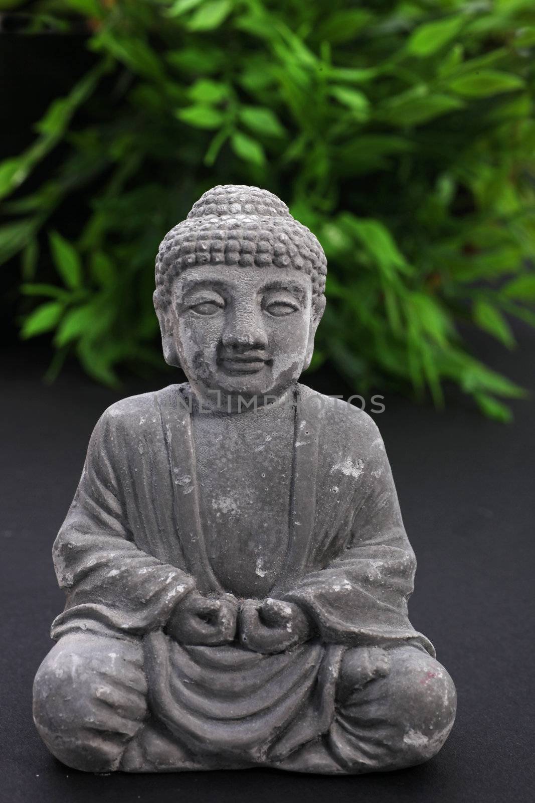 Carved Asian stone meditating Buddha statue sitting in the lotus position with lush greenery and leaves behind