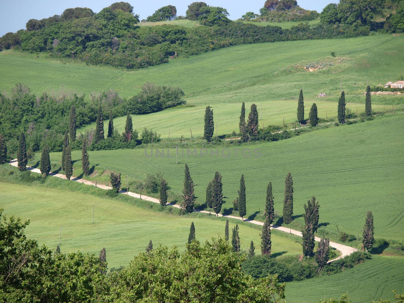 The landscape of the Val d’Orcia. Tuscany. Italy
