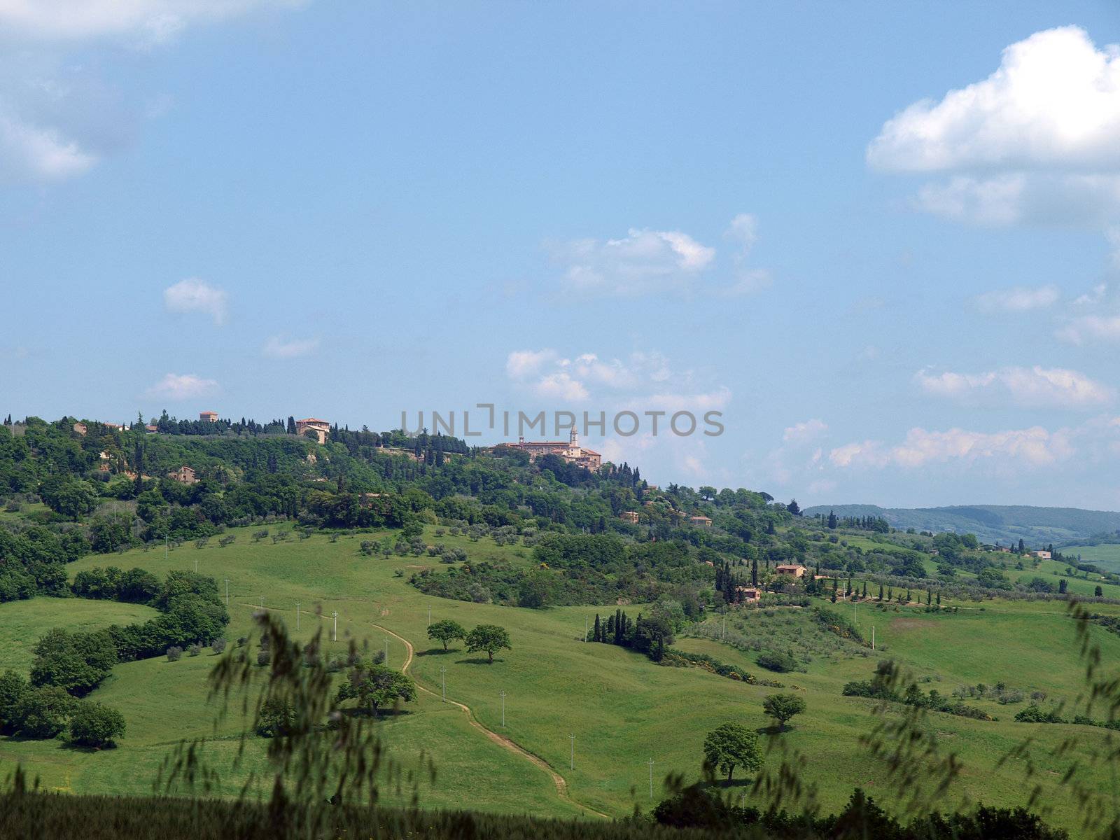 The landscape of the Val d’Orcia. Tuscany. 