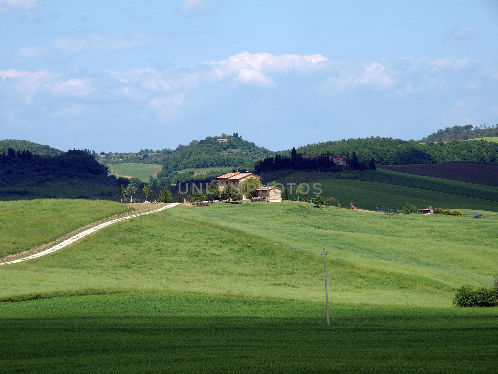 The landscape of the Val d’Orcia. Tuscany. 