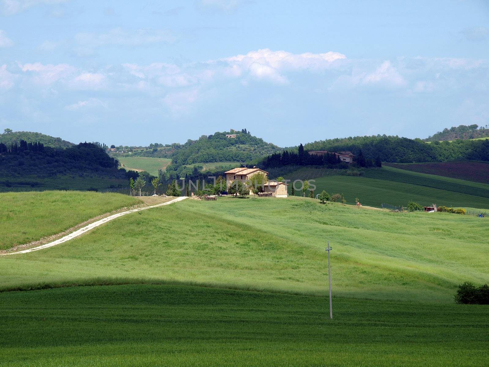 The landscape of the Val d’Orcia. Tuscany. 