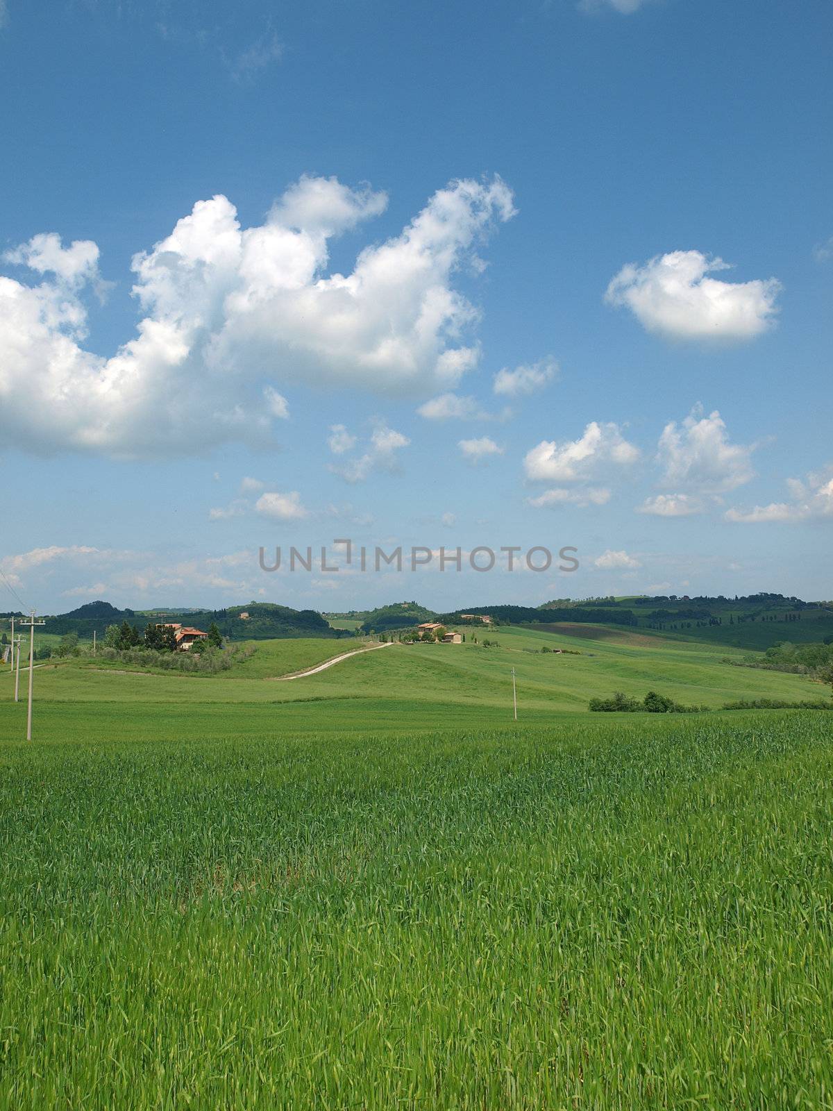 The landscape of the Val d’Orcia. Tuscany. 