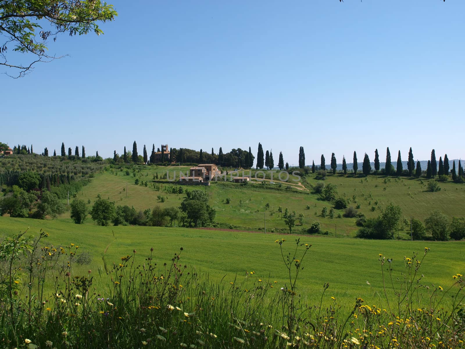 The landscape of the Tuscany. Italiy