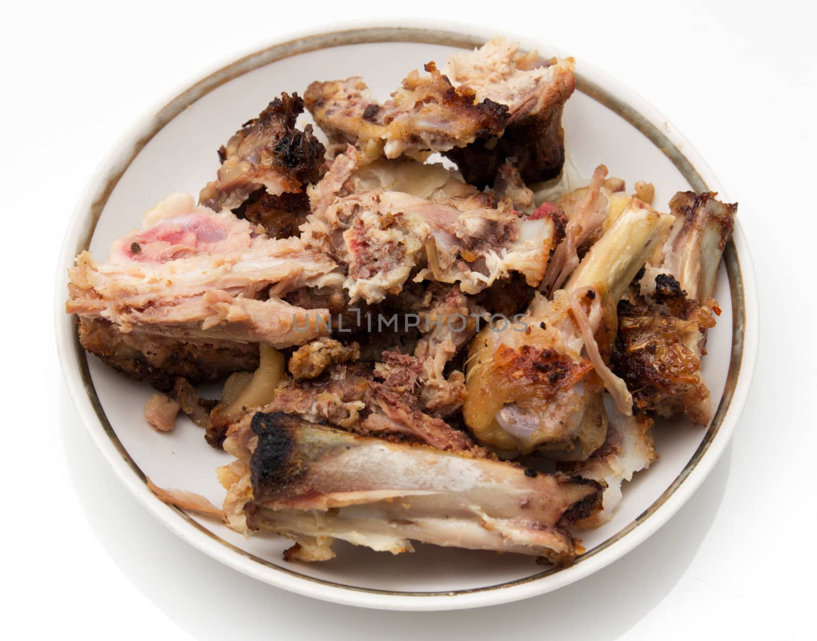 gnawed bones from chicken
