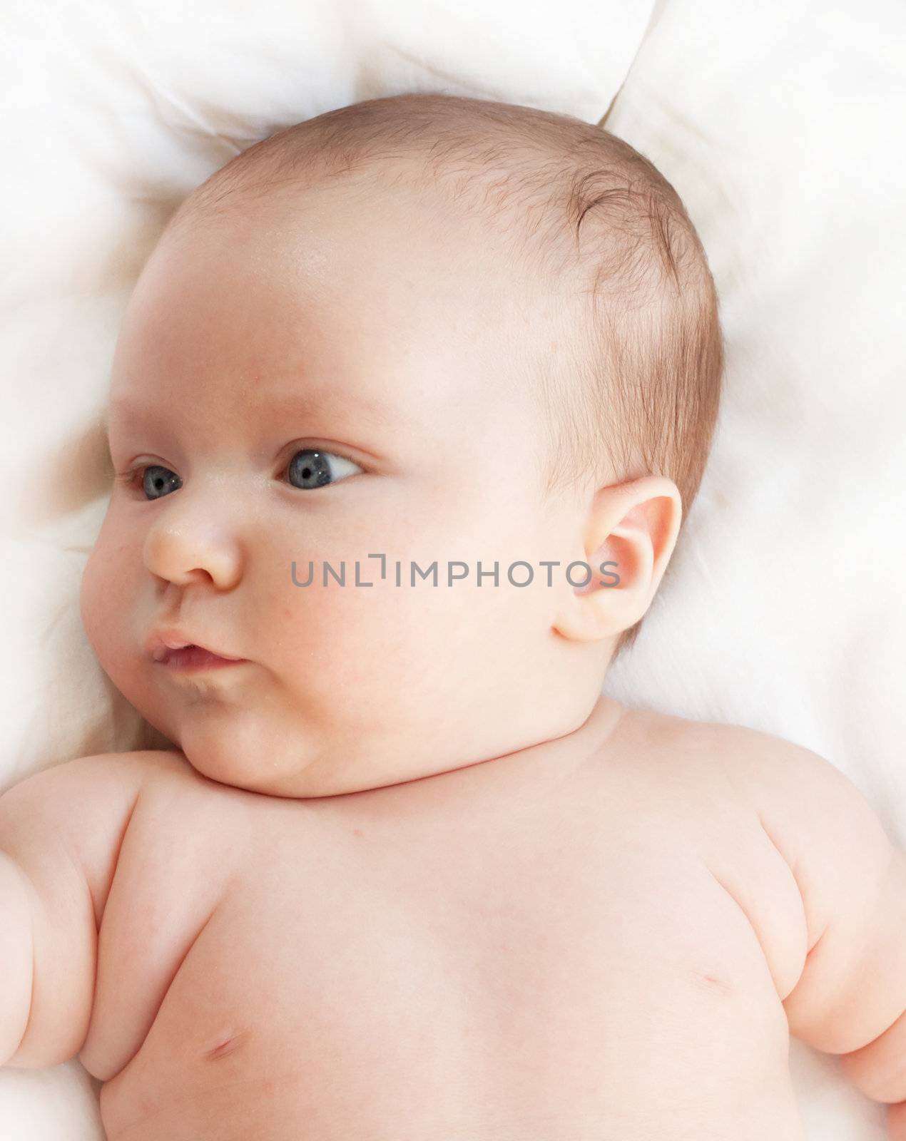 baby on a white background