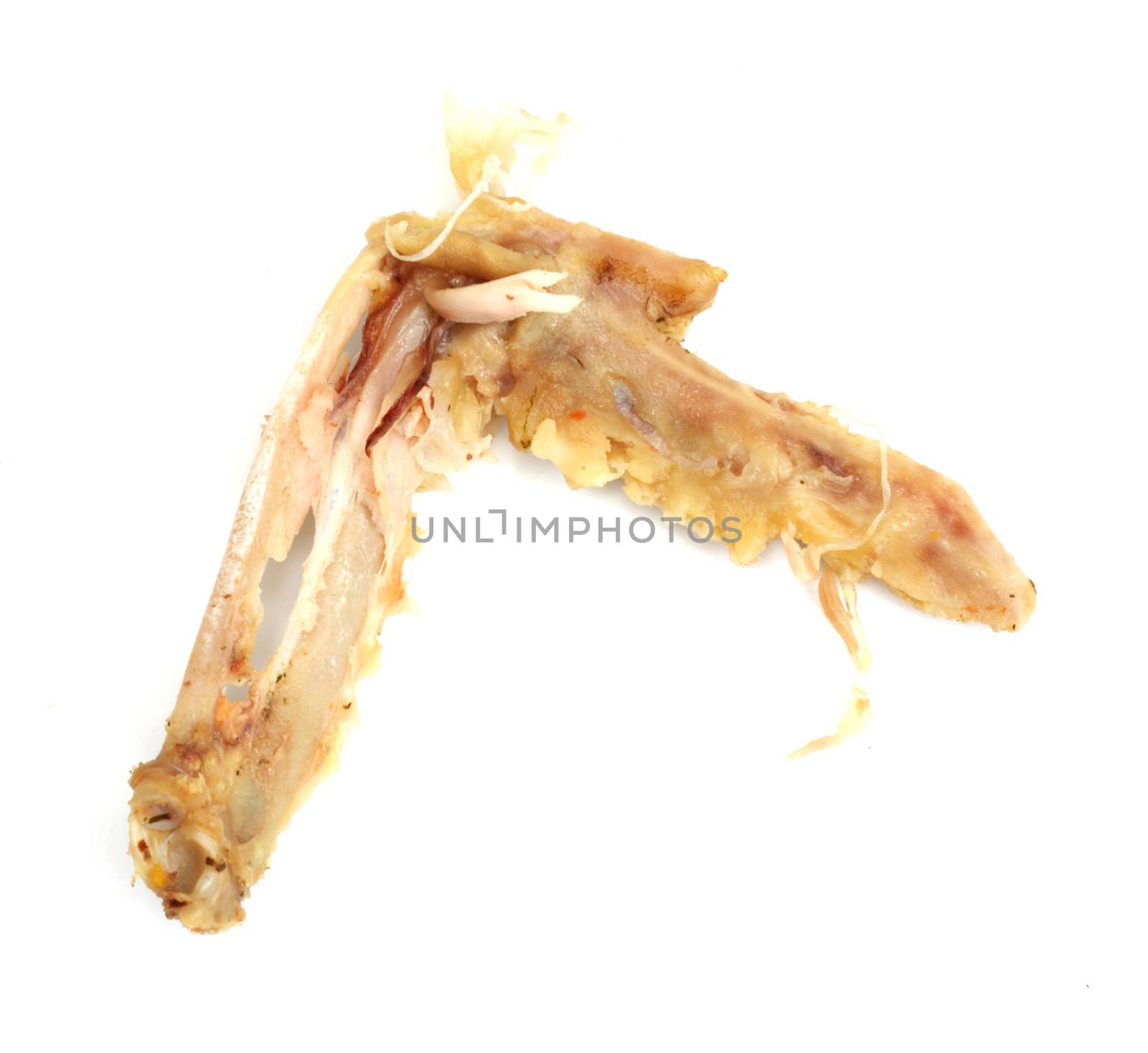 bone of the chicken