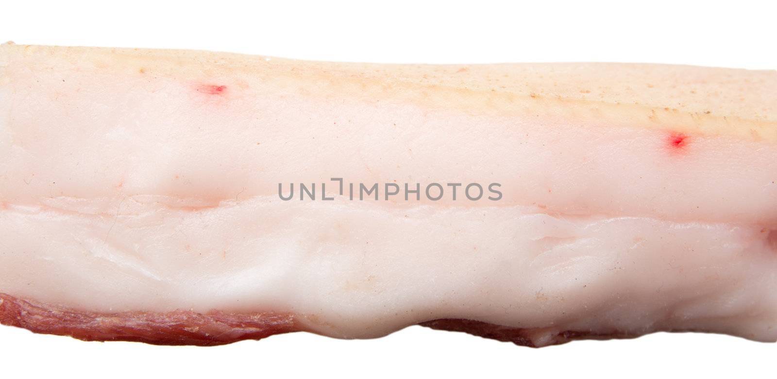 bacon on a white background by schankz