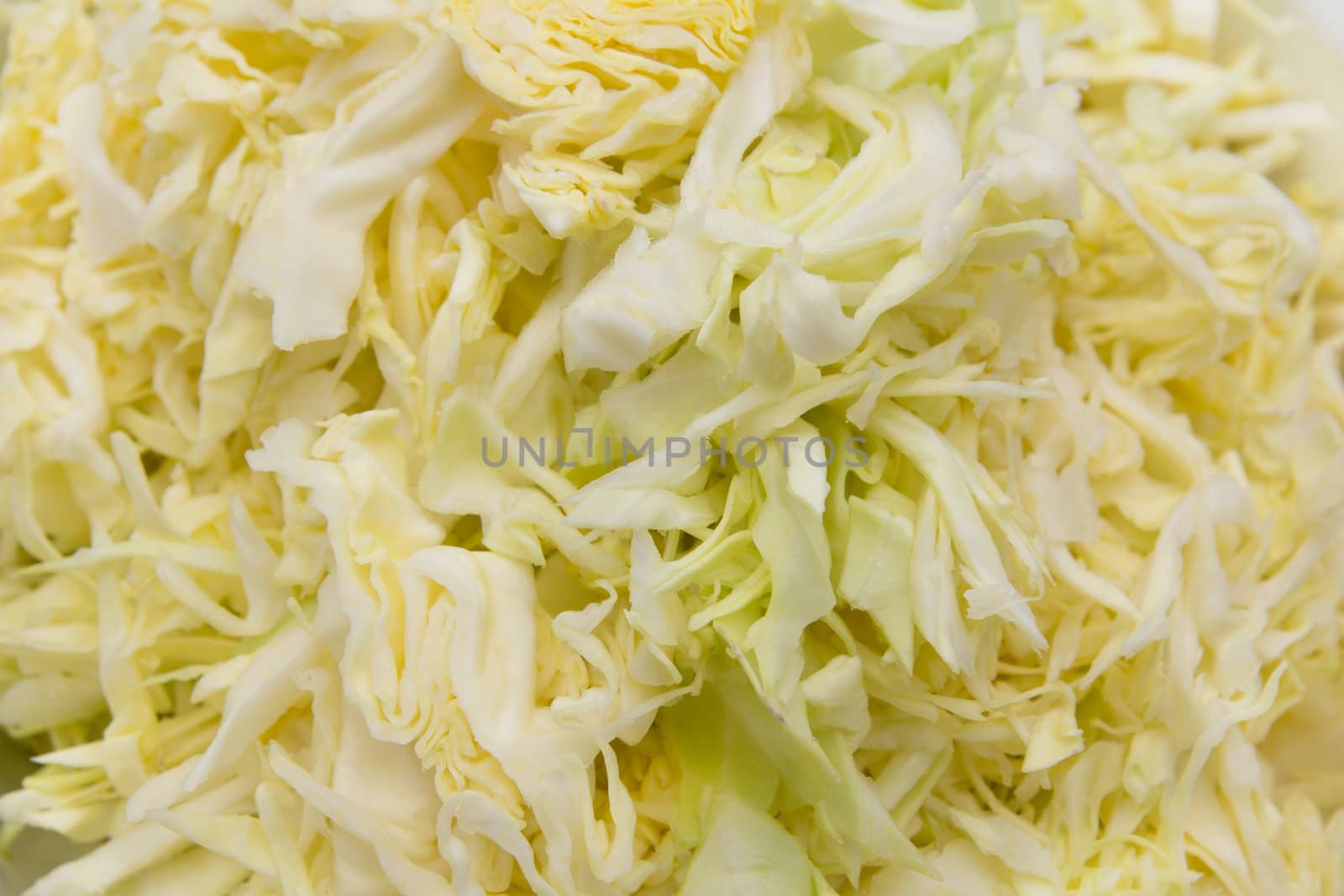 Slicing Chinese cabbage 