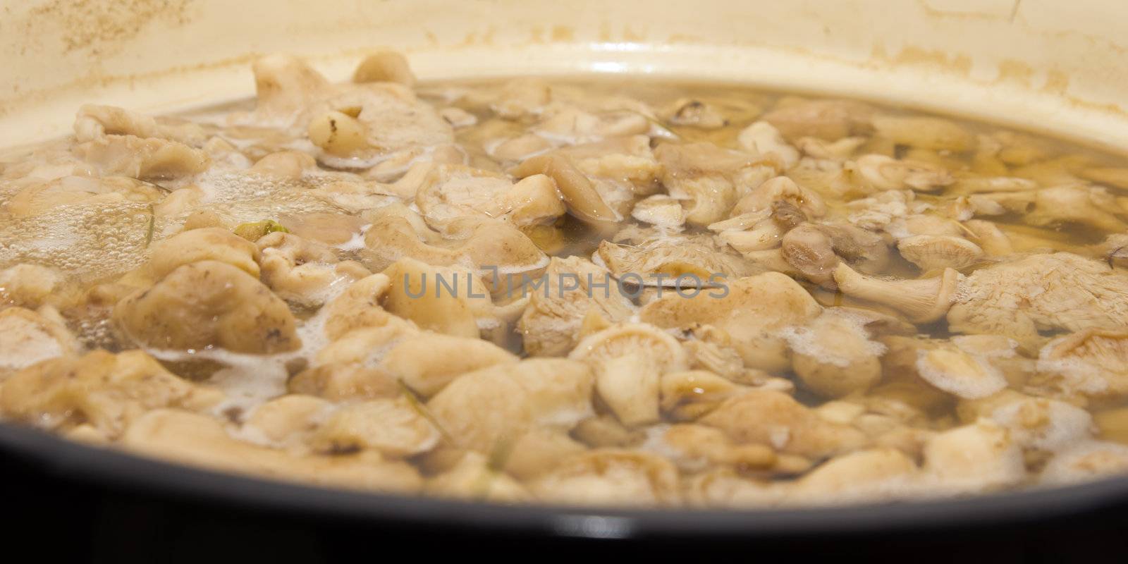 Mushrooms cook in a pan by schankz
