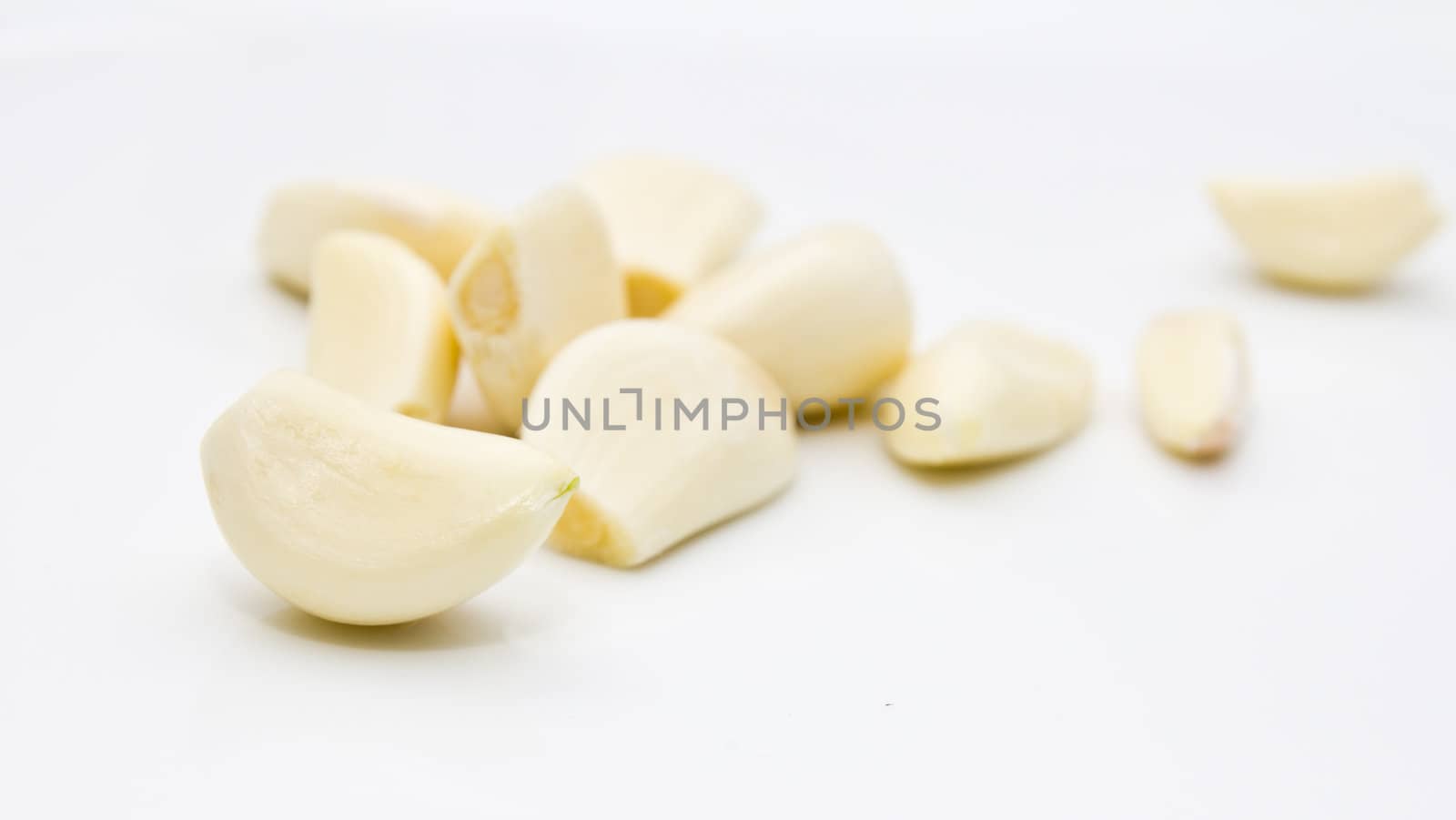 garlic on a white background