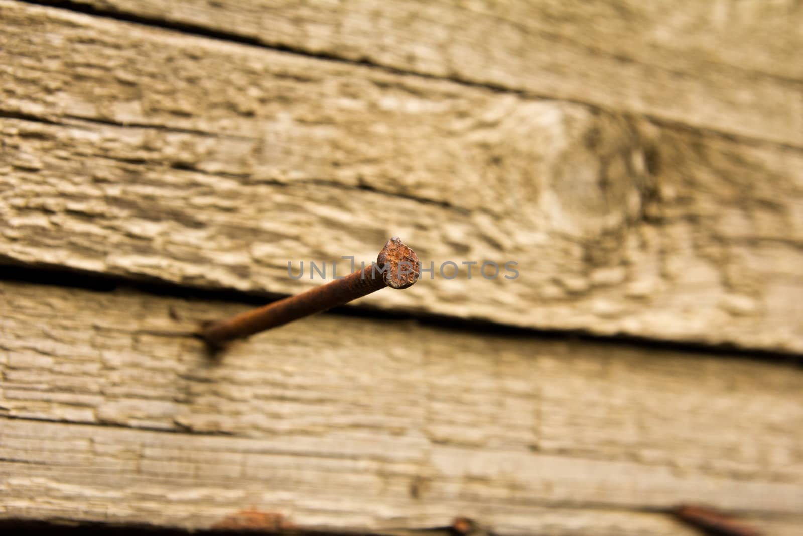 Rusty nail hammered into a wooden board, focus on a nail hat