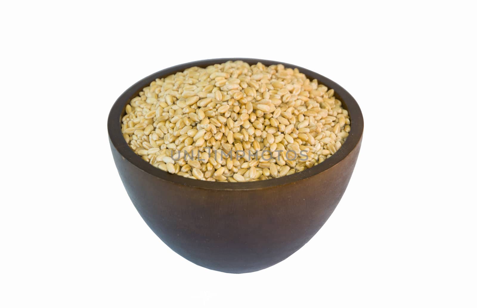wheat in isolated background