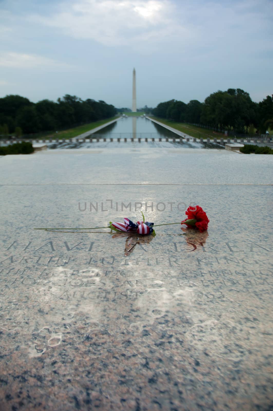 a rose in Abraham Lincoln Memorial