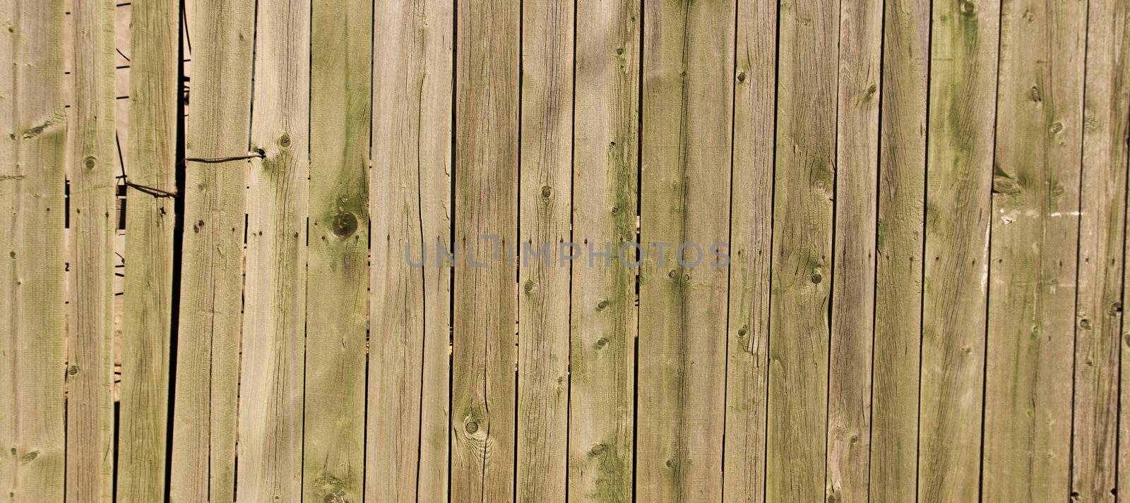 Wooden background