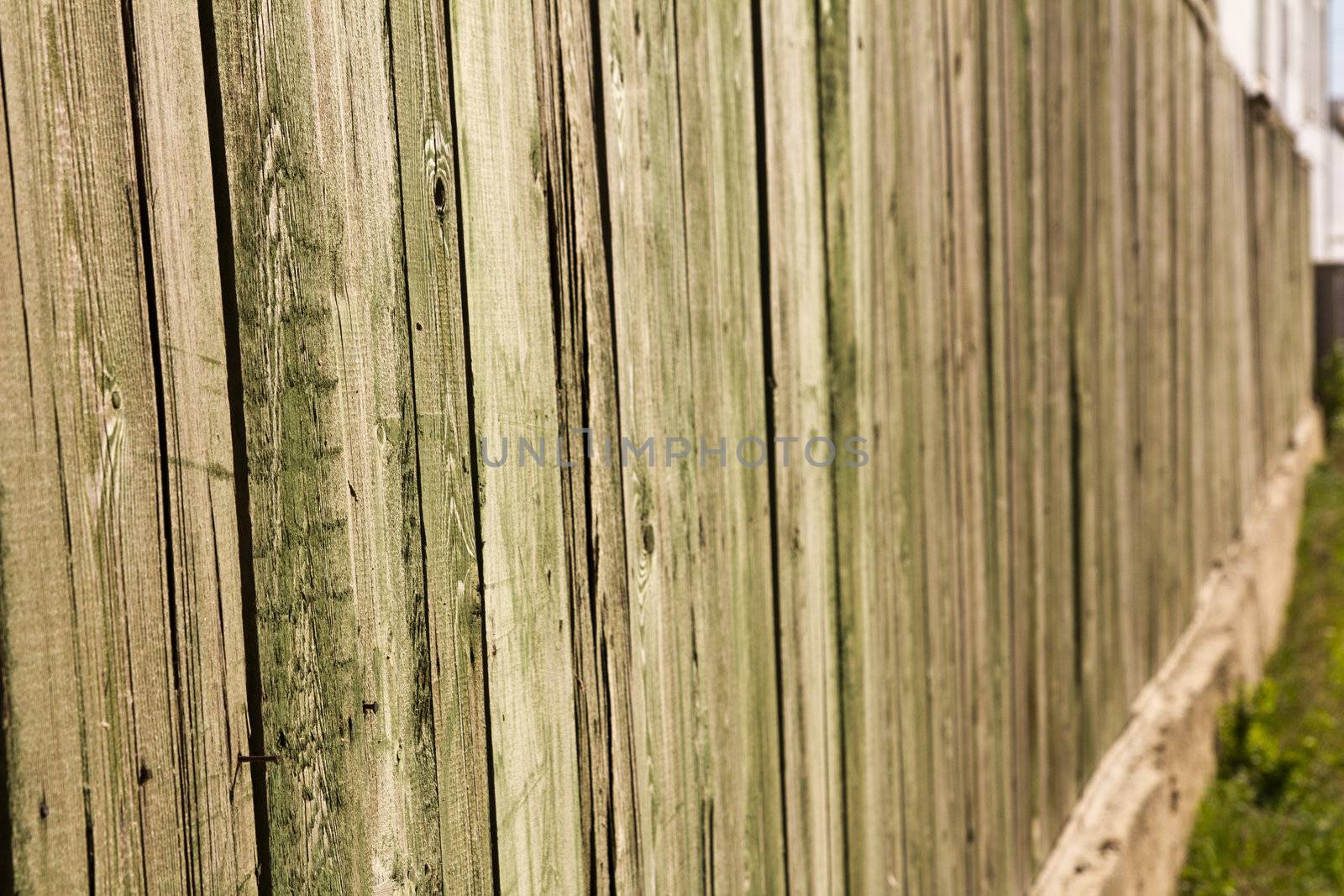 Wooden fence by schankz