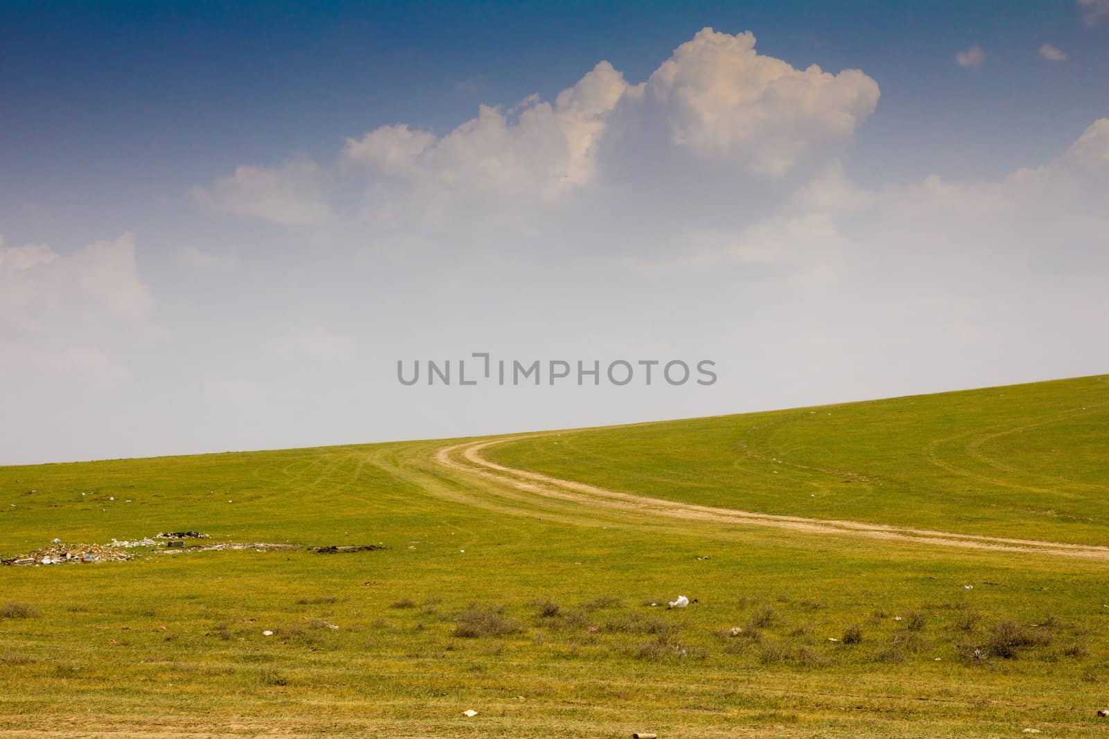 green field with a road