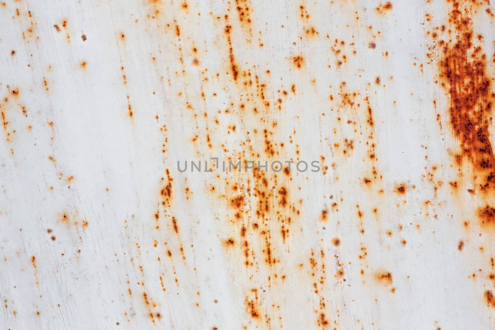 Rusty metal grunge background. Rusted steel tin abstract pattern by schankz