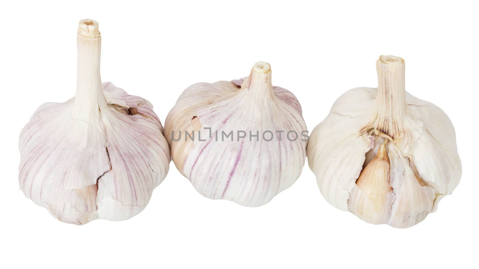 fresh garlic isolated on white  by schankz