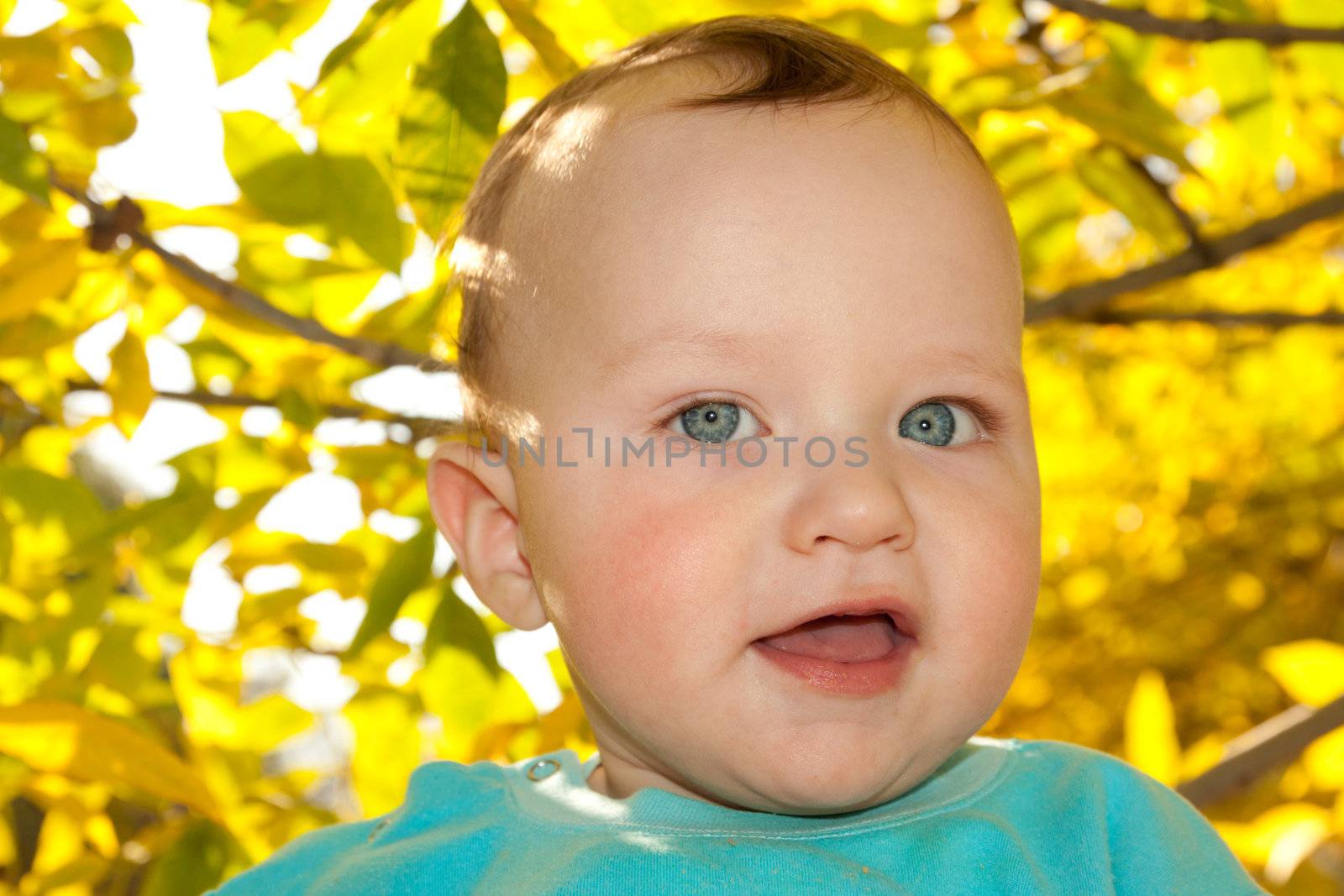 portrait of a baby on the background of the fall by schankz