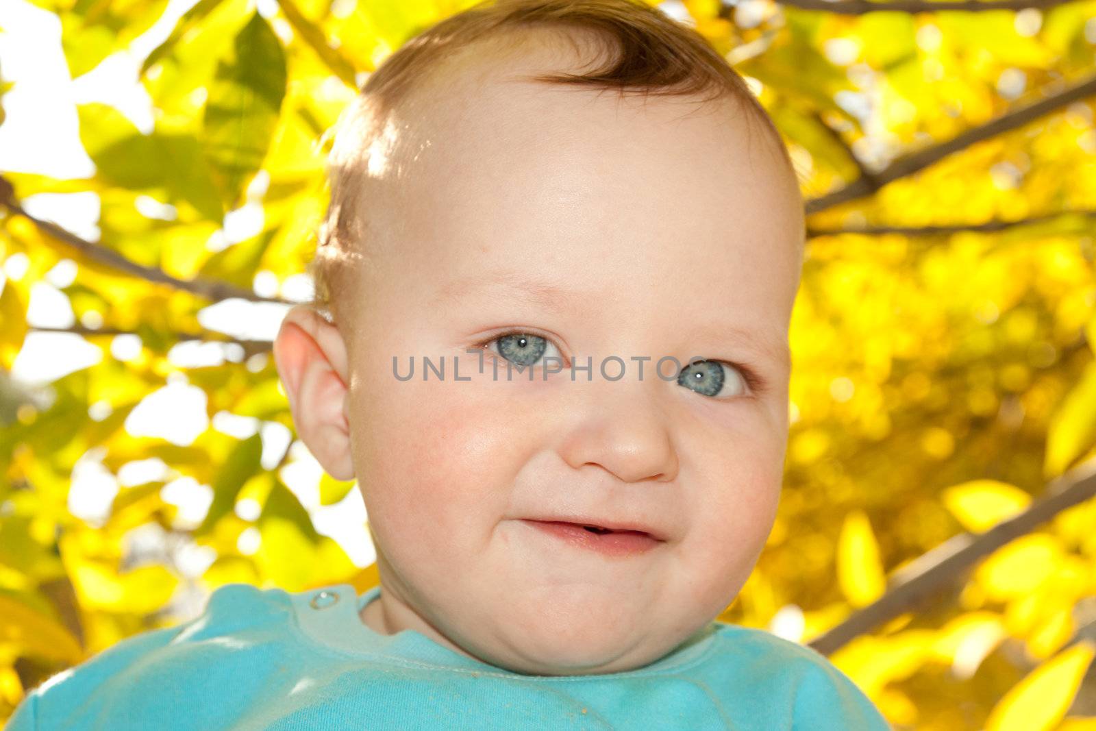 portrait of a baby on the background of the fall