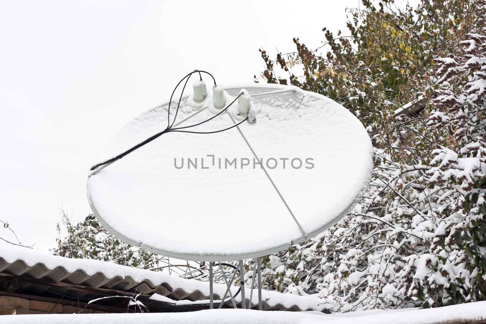 satellite antenna snow-covered by schankz