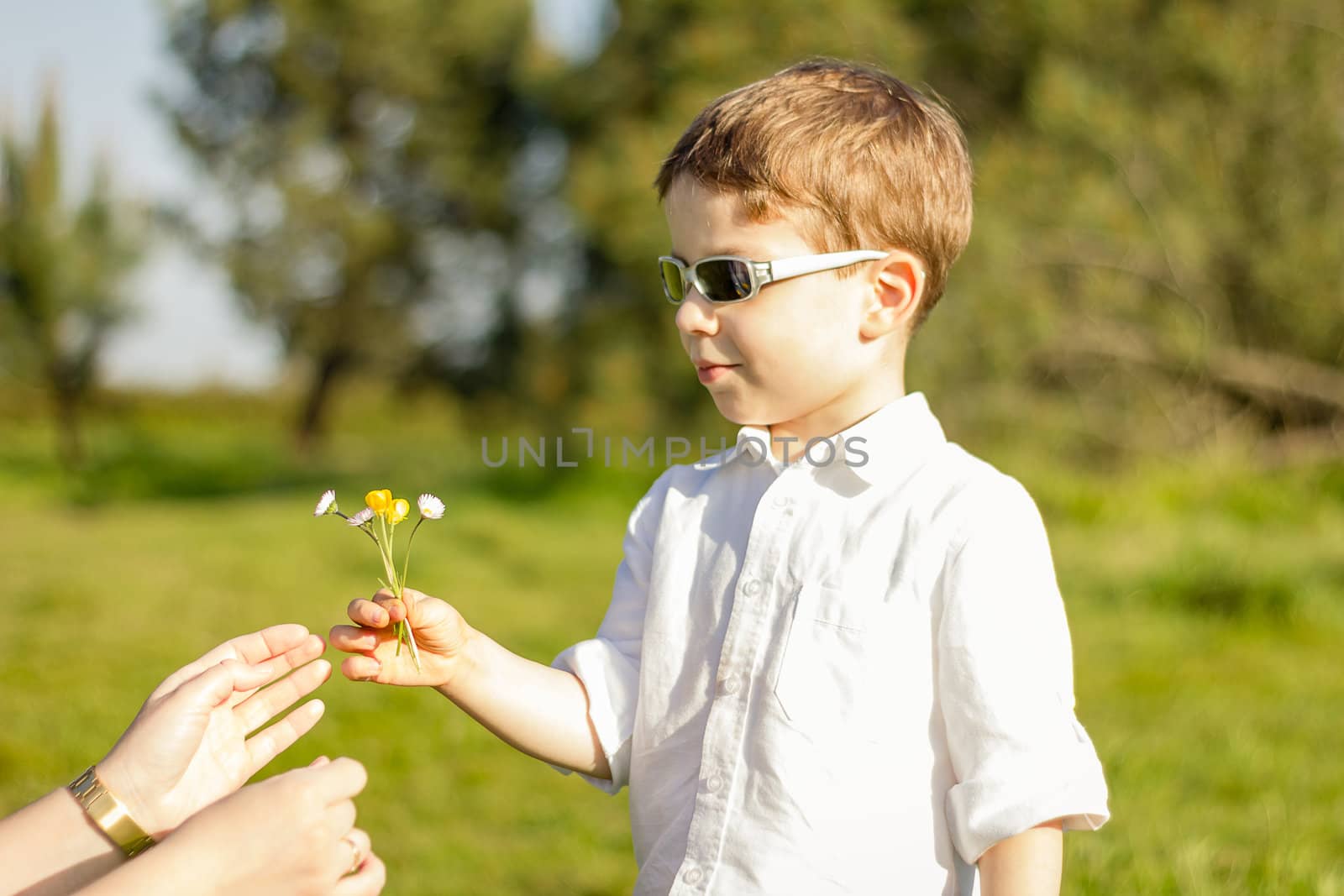 Happy cute son giving a bouquet of flowers to his mother in a sunny field