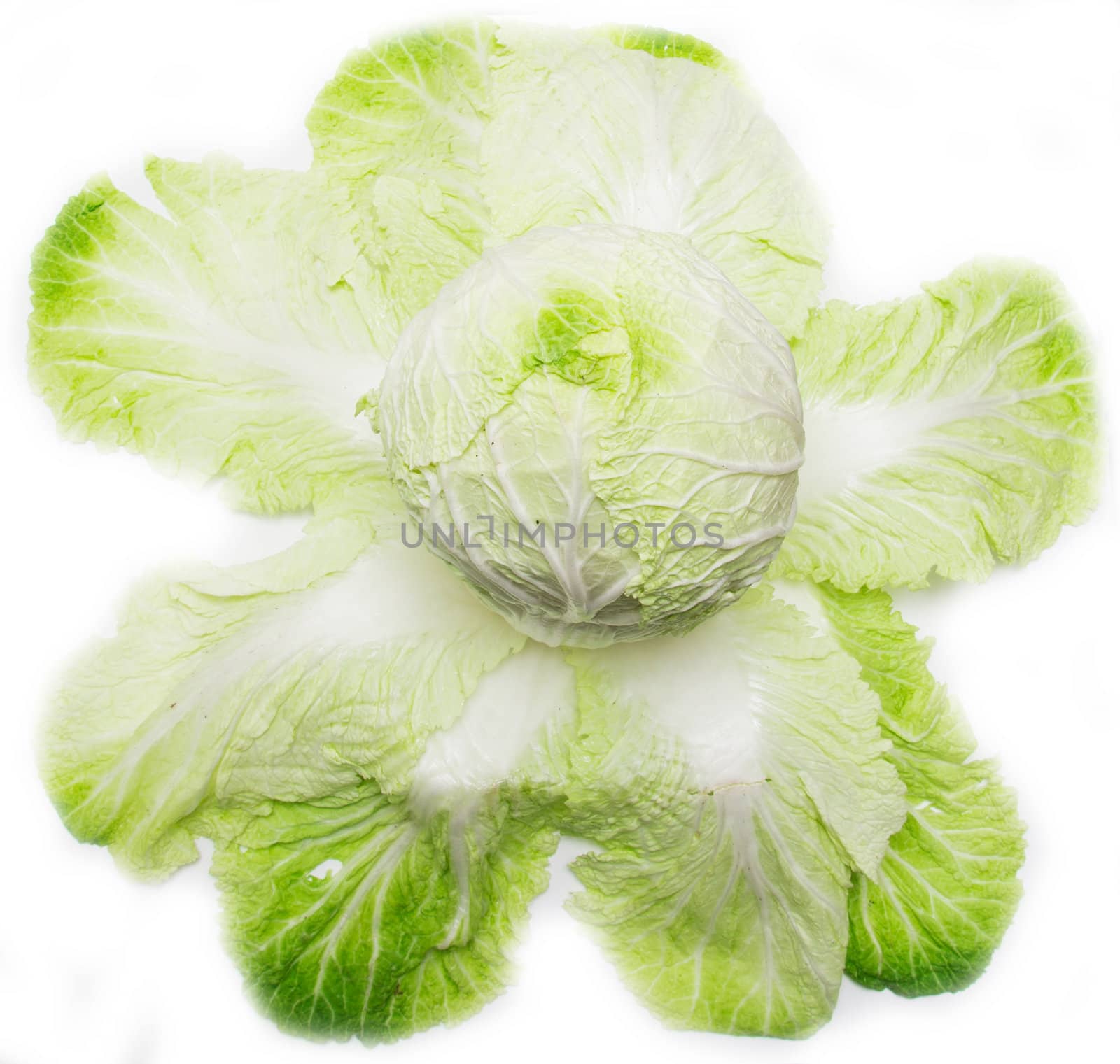 Cabbage on a white background