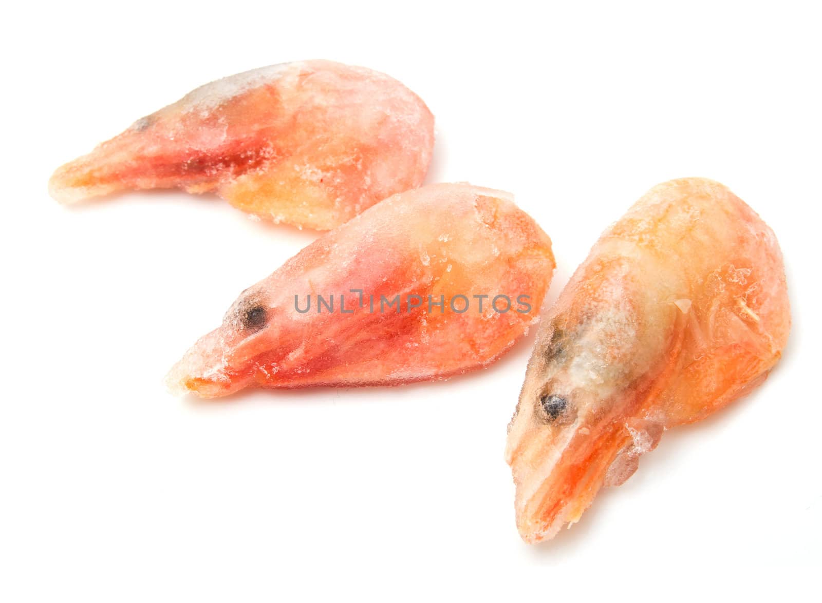 Red frozen shrimp on a white background