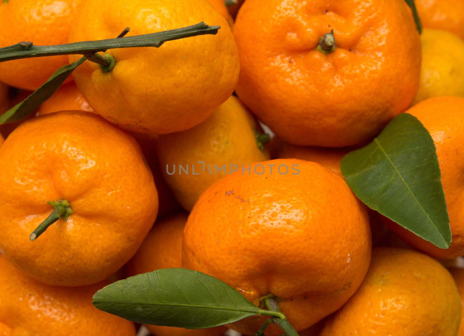 oranges with leaves as the background