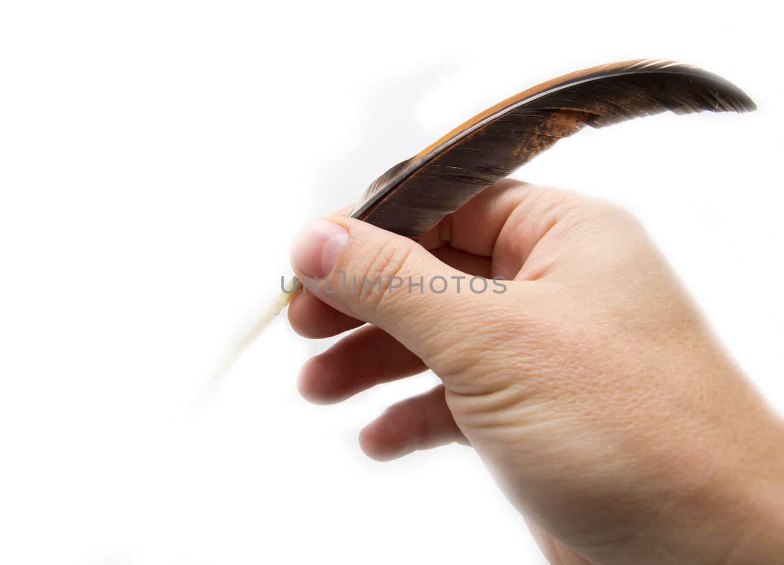 Hand writing with a pen on a white background