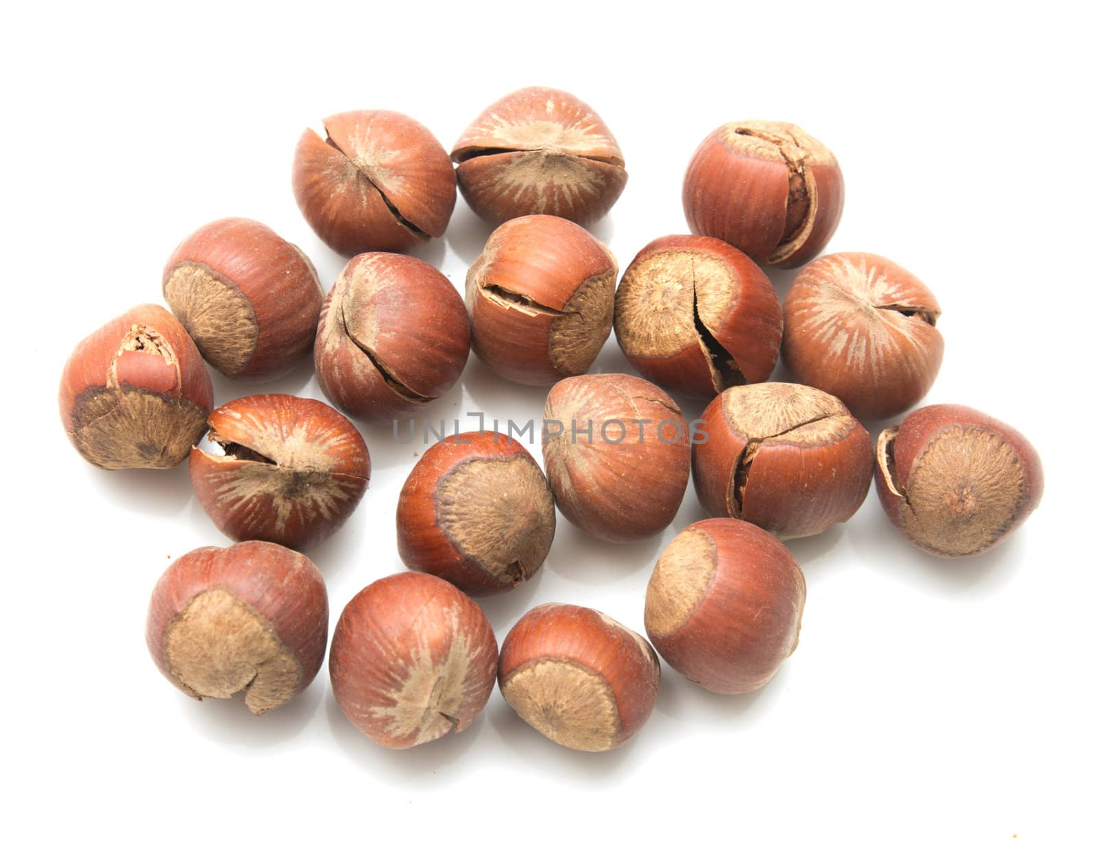 hazelnuts on a white background