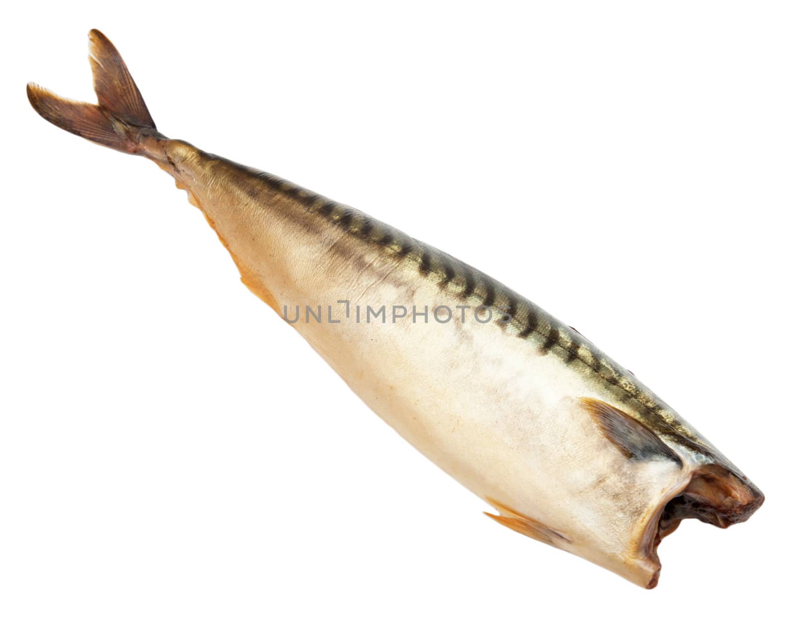 Smoked mackerel on a white background