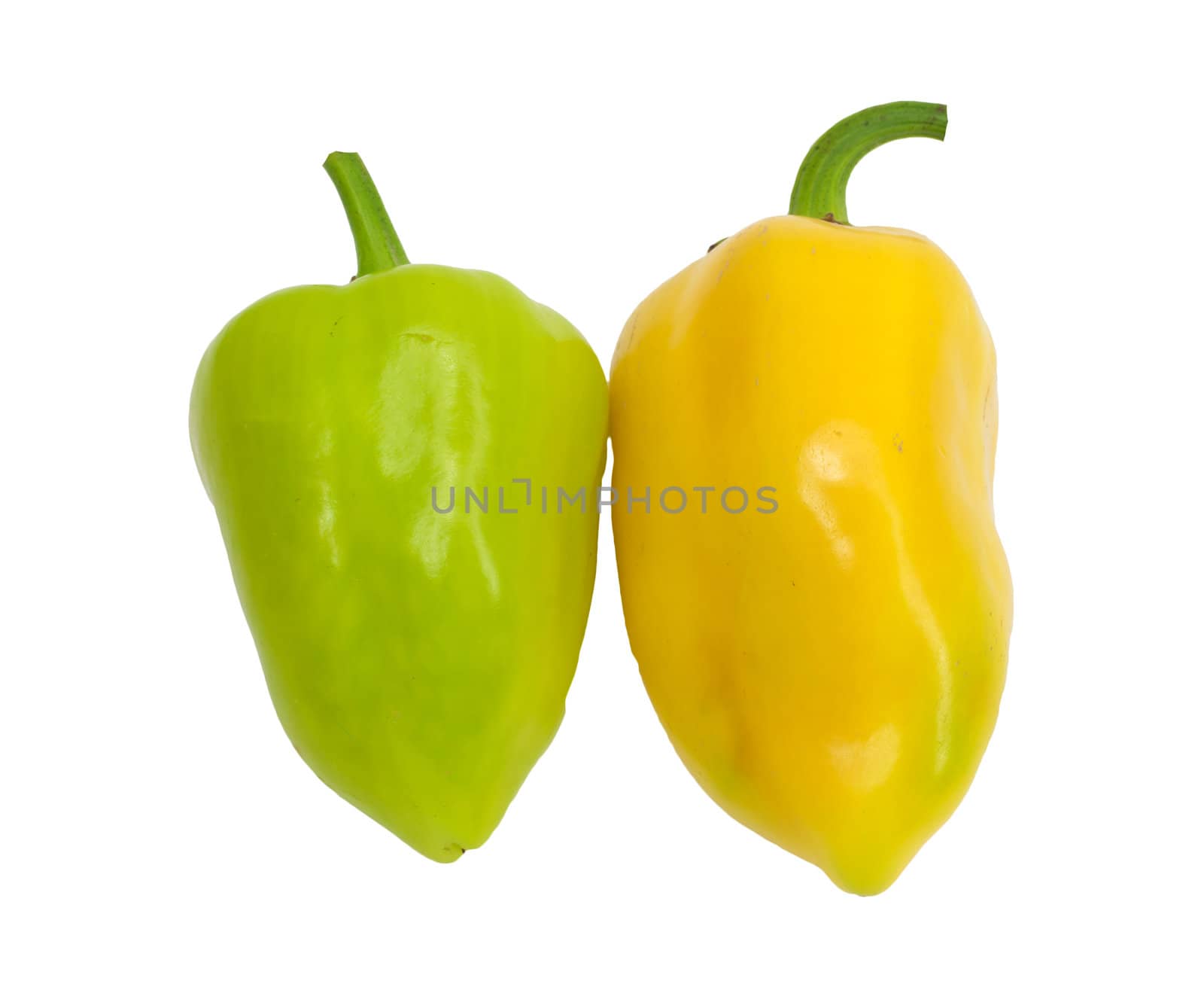 yellow and green paprika by schankz