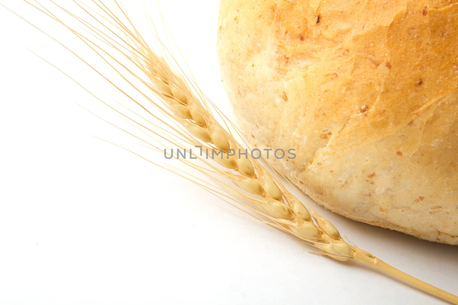 bread and wheat on a white background