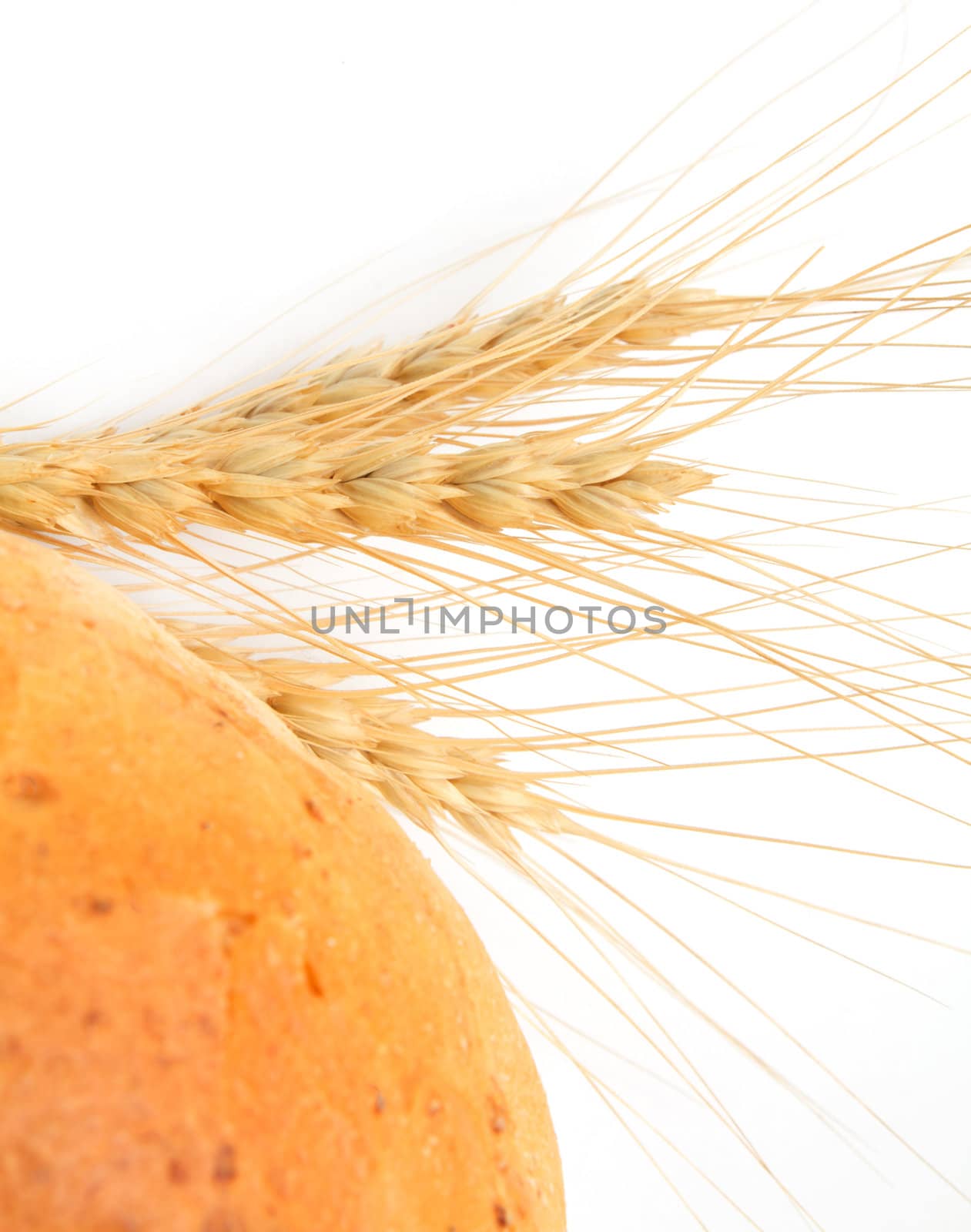 wheat and bread on a white background