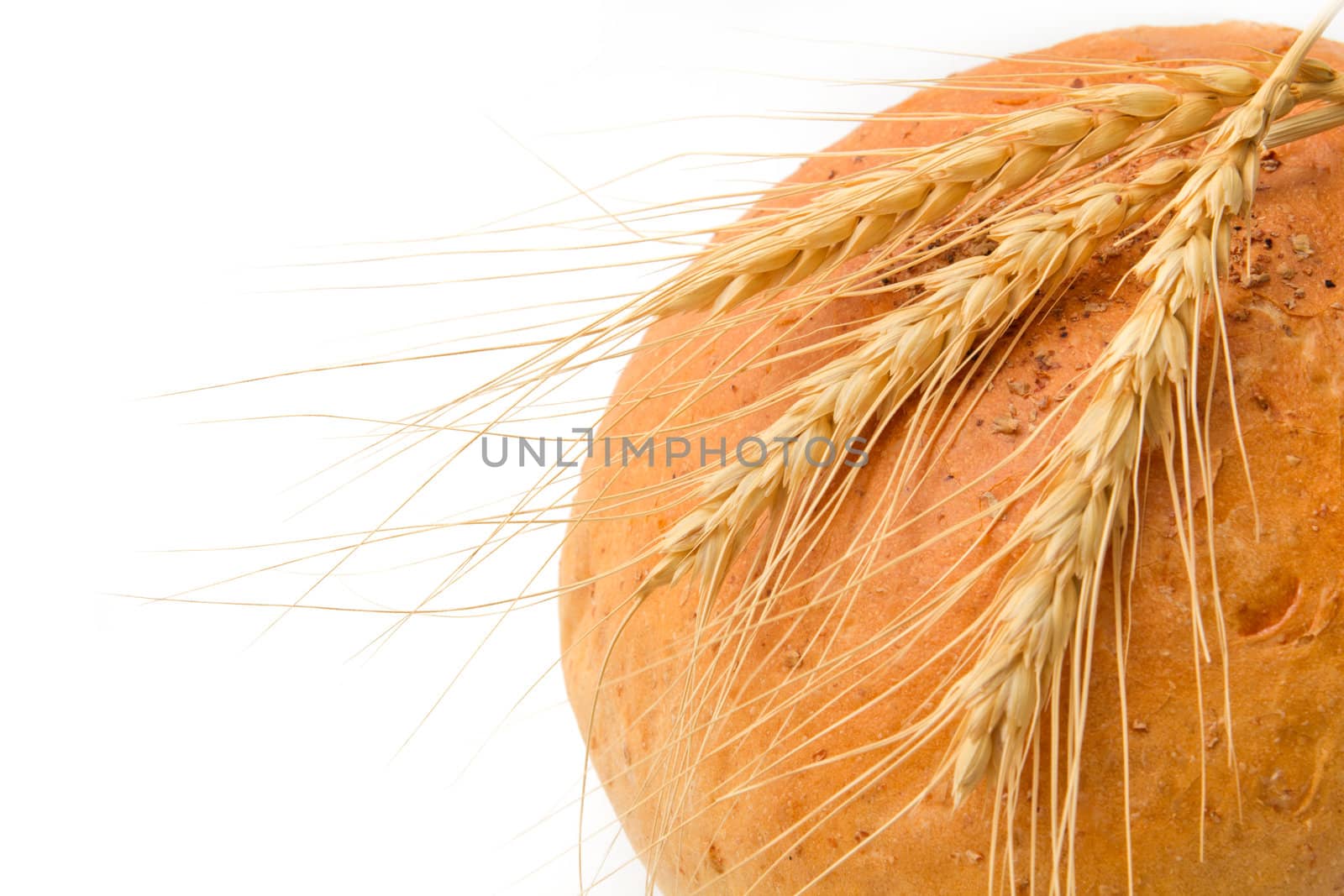 wheat and bread on a white background by schankz
