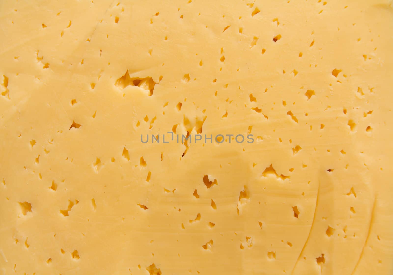 Background of fresh yellow Swiss cheese with holes 