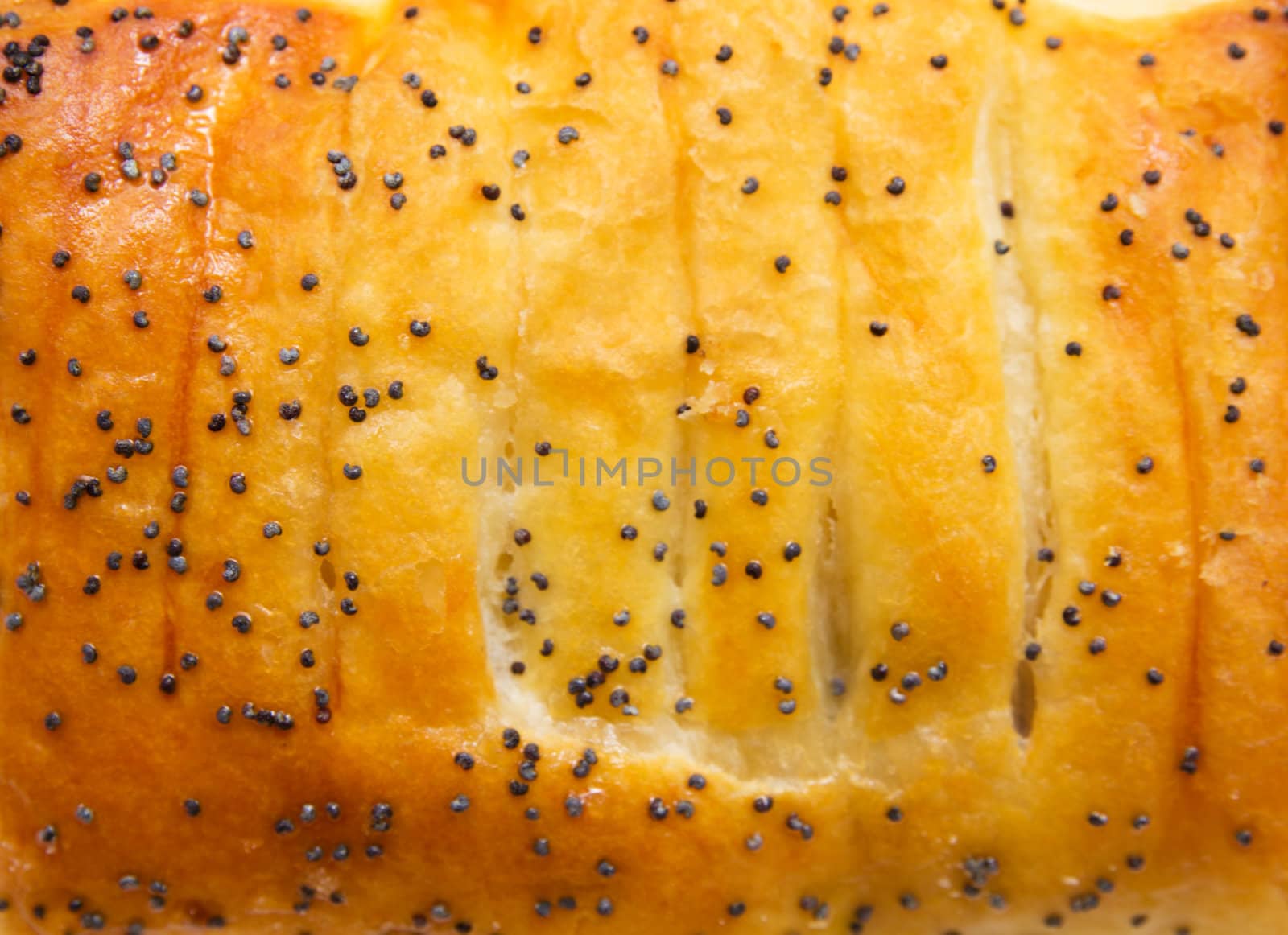 bun with poppy seeds as a background