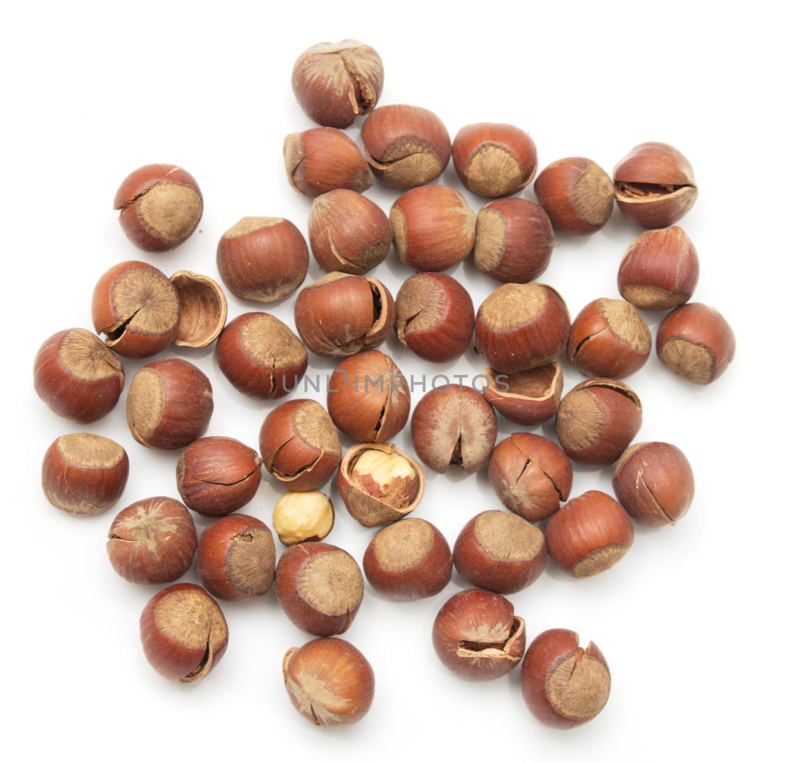 Heap of hazelnuts isolated on white background 