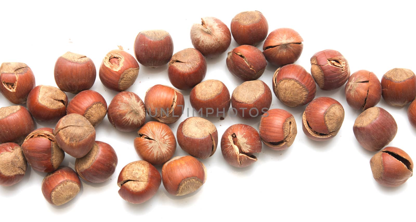 hazelnuts on a white background