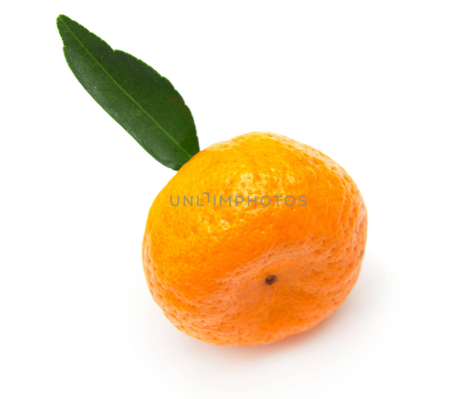 Ripe mandarin with green leaf isolated on white background by schankz