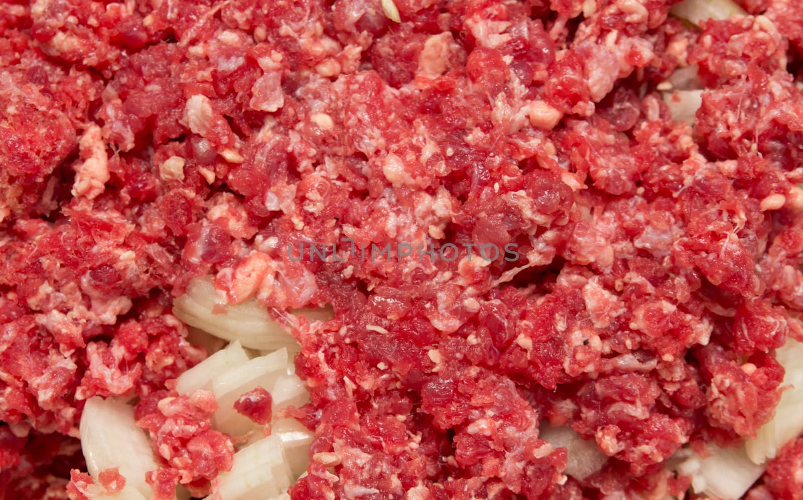 meat and onions in the background