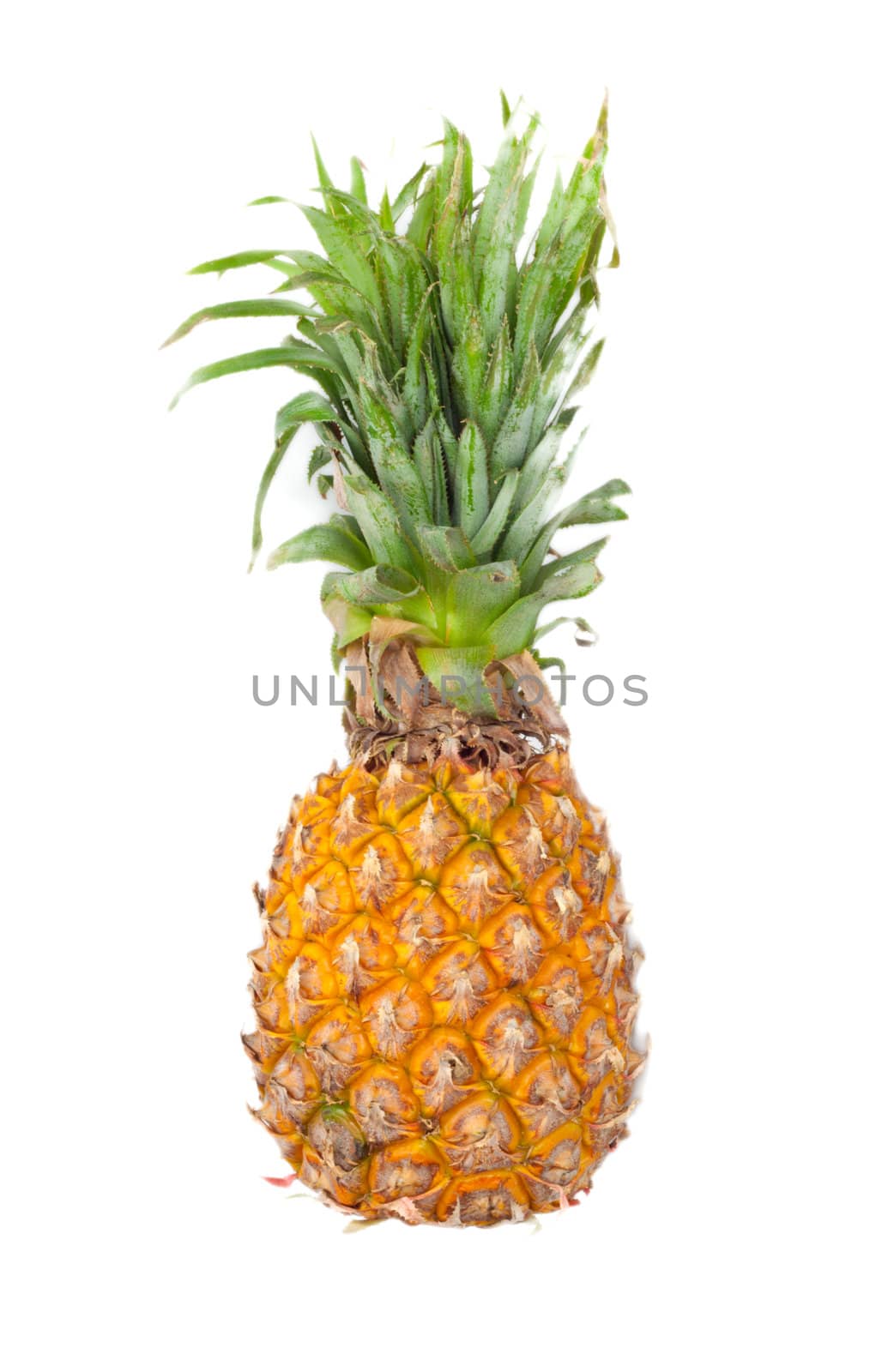 ripe pineapple isolated on white 