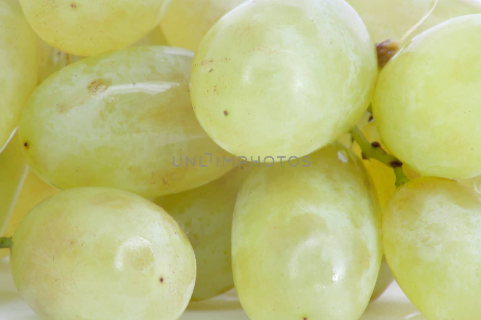 A close-up of grapes, taken with a macro lens.  by schankz