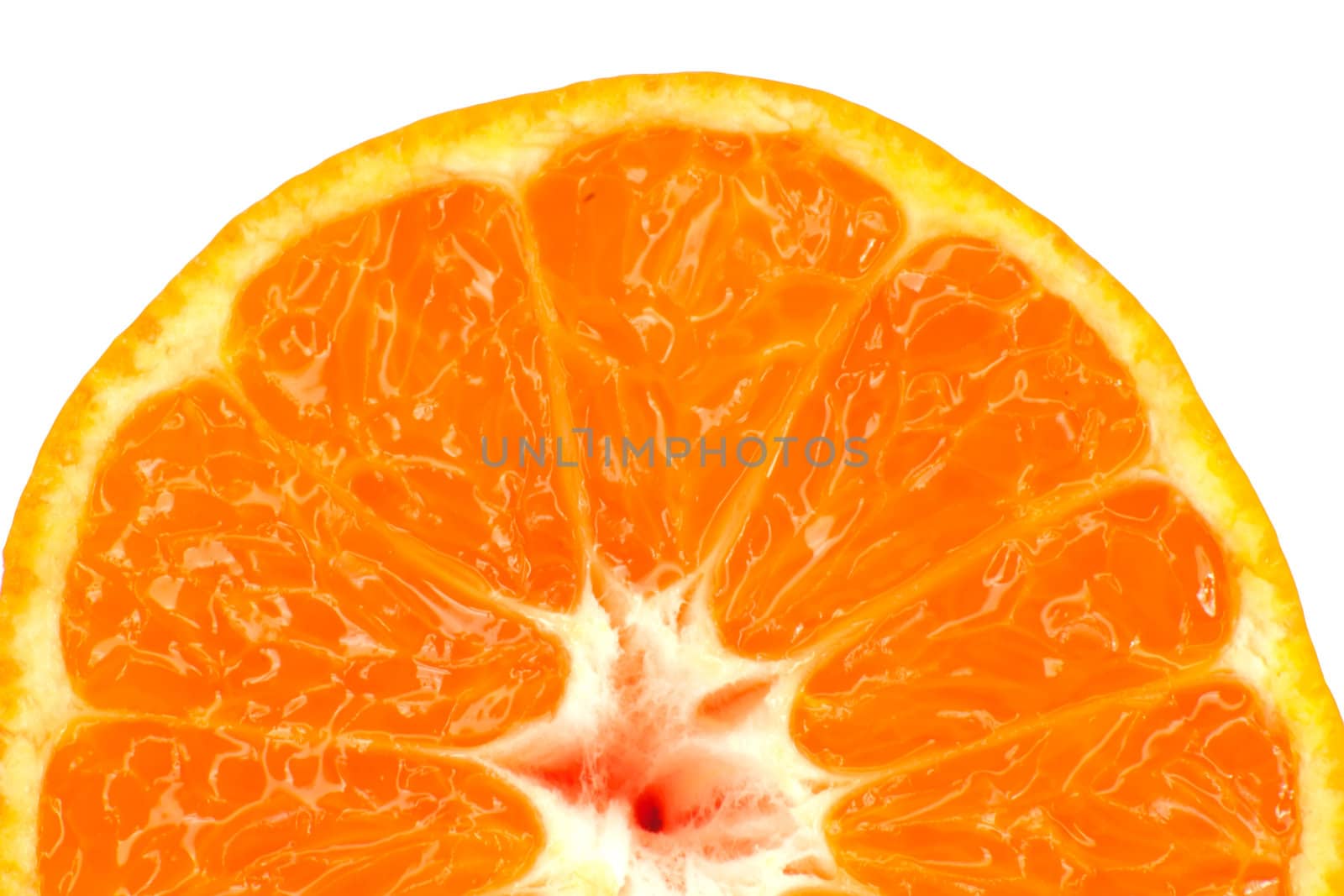 orange as the background. macro