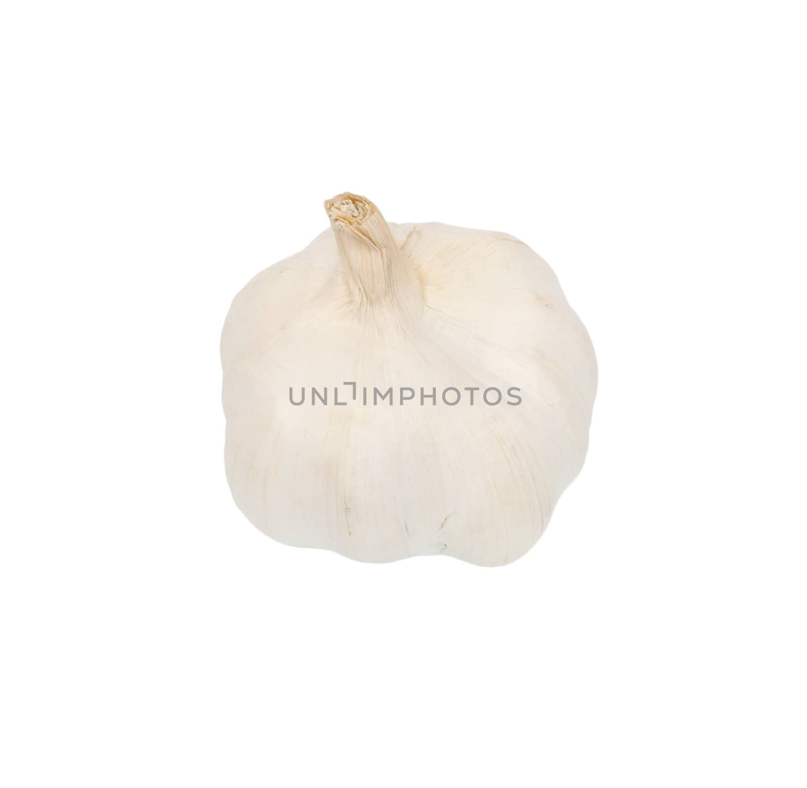 Garlic isolated on white background. 