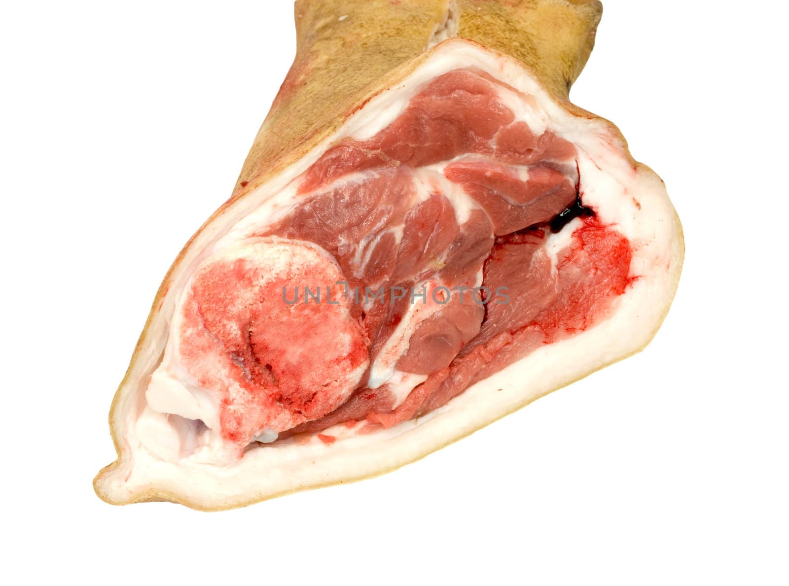 raw pork (leg) isolated on white background 